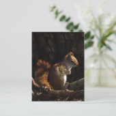 Eichhörnchen in einem Fleck Sonnenlicht Postkarte (Stehend Vorderseite)