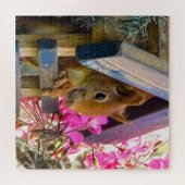 Eichhörnchen in einem Geburtshaus Puzzle (Horizontal)