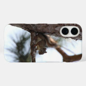 Eichhörnchen in einem Kiefernbaum Case-Mate iPhone Hülle (Rückseite (Horizontal))