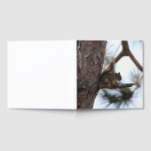 Eichhörnchen in einem Kiefernbaum Gästebuch (Voll)