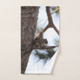 Eichhörnchen in einem Kiefernbaum Handtuch-Set Badhandtuch Set