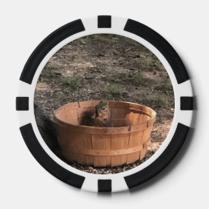 Eichhörnchen in einem Korb Pokerchips