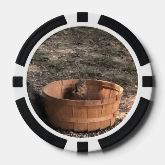 Eichhörnchen in einem Korb Pokerchips (Vorderseite)