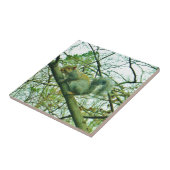 Eichhörnchen in einem leichten blauen Nebel Fliese (Seite)