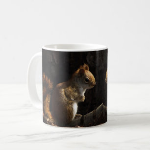 Eichhörnchen in einem Stück Sonnenlicht Kaffeetasse