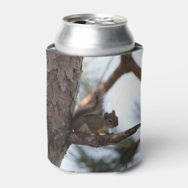 Eichhörnchen in einer Kiefer Dosenkühler