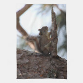Eichhörnchen in einer Kiefer Frottiertuch Geschirrtuch (Vertikal)