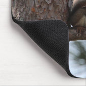 Eichhörnchen in einer Kiefer Mousepad (Ecke)