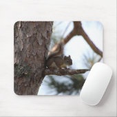 Eichhörnchen in einer Kiefer Mousepad (Mit Mouse)