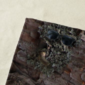 Eichhörnchen in einer Kiefer Strandhandtuch (Beispiel)
