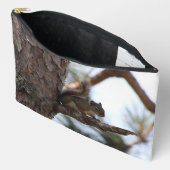 Eichhörnchen in einer Kiefer Zubehörtasche (Offen)