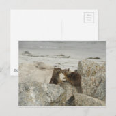 Eichhörnchen in Liebe Postkarte (Vorne/Hinten)
