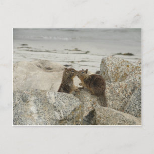 Eichhörnchen in Liebe Postkarte