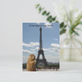 Eichhörnchen in Paris Postcard Postkarte (Stehend Vorderseite)