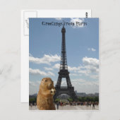 Eichhörnchen in Paris Postcard Postkarte (Vorne/Hinten)