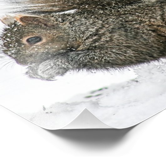 Eichhörnchen in Schneefotografie drucken Fotodruck (Ecke)