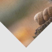 Eichhörnchen in Strick-Hutmutter Seidenpapier (Ausschnitt)