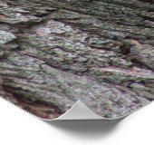 Eichhörnchen in Tree Foto Poster (Ecke)