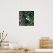Eichhörnchen in Tree Foto Poster (Küche)