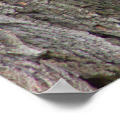 Eichhörnchen in Tree Foto Poster (Ecke)