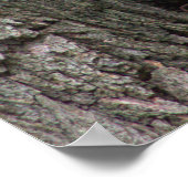 Eichhörnchen in Tree Foto Poster (Ecke)