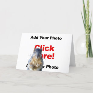 Eichhörnchen individuell gestaltete Fotogrußkarte  Karte
