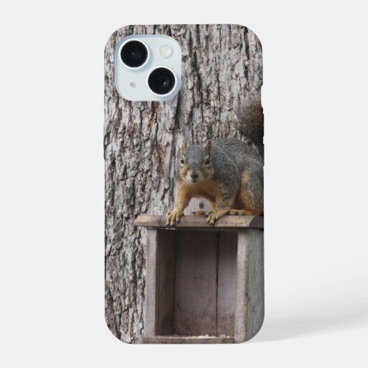 Eichhörnchen iPhone 15 Hülle (Rückseite)