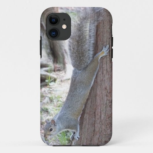 Eichhörnchen iPhone 5 Fall Case-Mate iPhone Hülle (Rückseite)