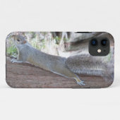Eichhörnchen iPhone 5 Hülle (Rückseite (Horizontal))