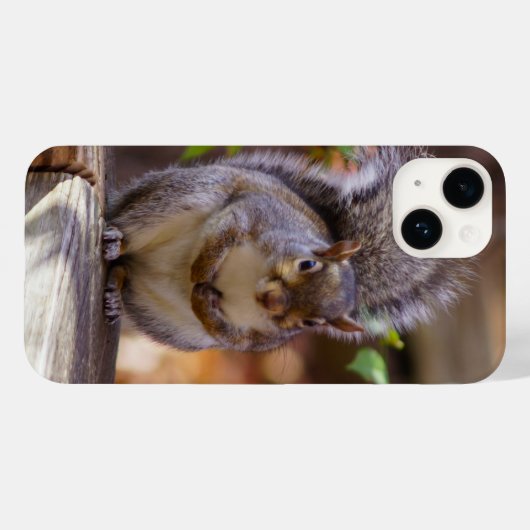 Eichhörnchen iPhone Case (Rückseite (Horizontal))