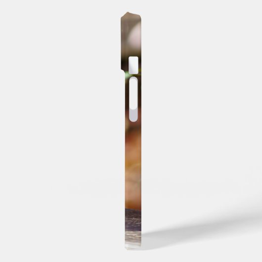 Eichhörnchen iPhone Case (Rückseite / Links)