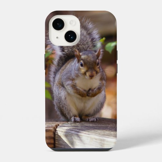 Eichhörnchen iPhone Case Hülle (Rückseite)