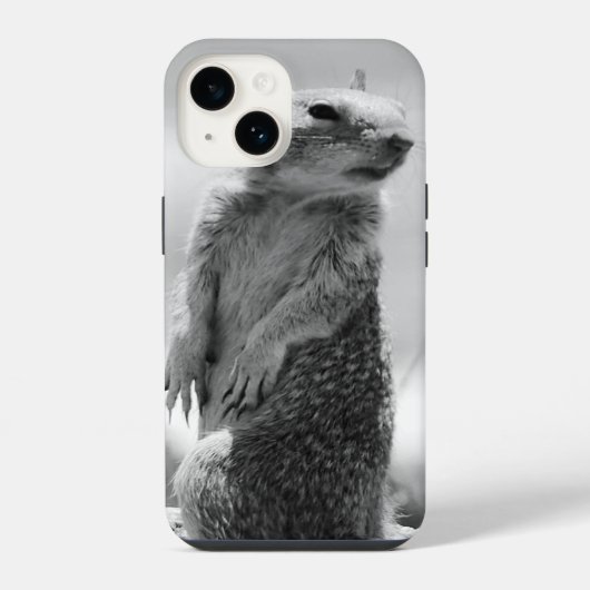 Eichhörnchen iPhone Hülle (Rückseite)