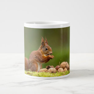 Eichhörnchen isst Nuss Jumbo-Tasse