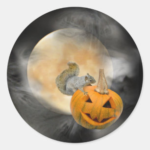 Eichhörnchen-Jack-o-Lantern-Moon-Aufkleber Runder Aufkleber