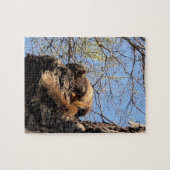 Eichhörnchen Jigsaw Puzzle (Horizontal)