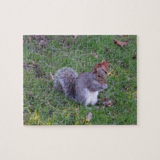 Eichhörnchen Jigsaw Puzzle (Horizontal)