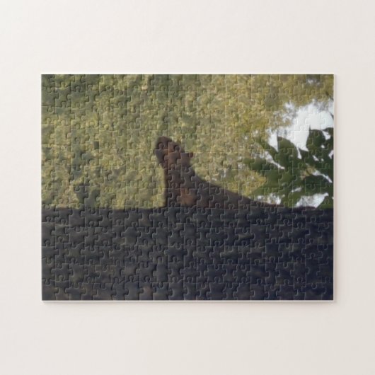 Eichhörnchen Jigsaw Puzzle (Horizontal)