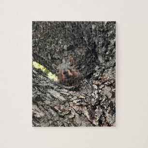Eichhörnchen Jigsaw Puzzle