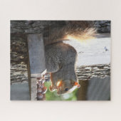 Eichhörnchen Jigsaw Puzzle (Horizontal)