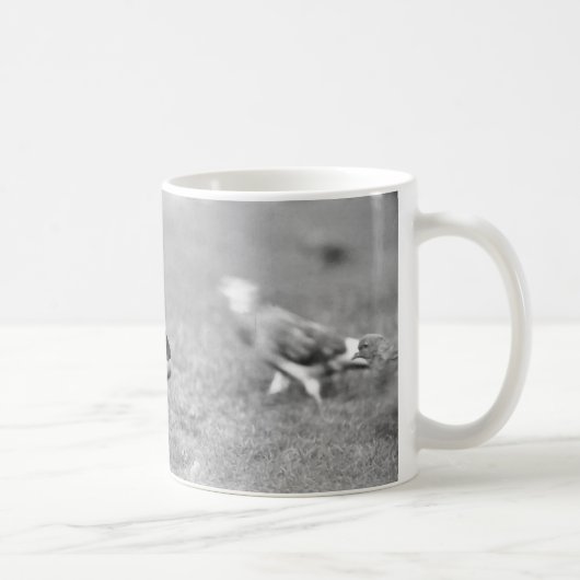 Eichhörnchen Kaffeetasse (Rechts)