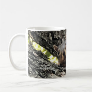 Eichhörnchen Kaffeetasse