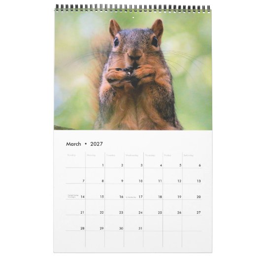 Eichhörnchen Kalender (Mär 2027)