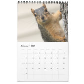Eichhörnchen Kalender (Feb 2027)
