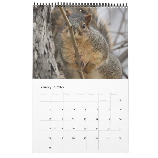 Eichhörnchen Kalender (Jan 2027)