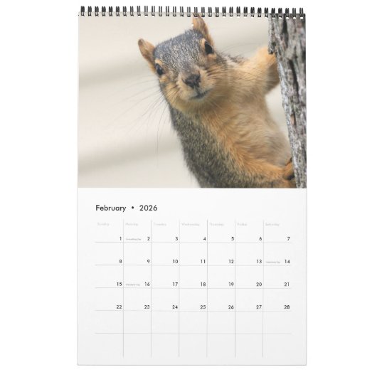 Eichhörnchen Kalender (Feb 2026)