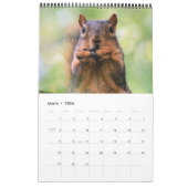 Eichhörnchen Kalender (Mär 2026)