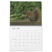 Eichhörnchen Kalender (Mär 2027)