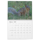 Eichhörnchen Kalender (Feb 2027)