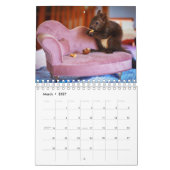Eichhörnchen Kalender (Mär 2027)